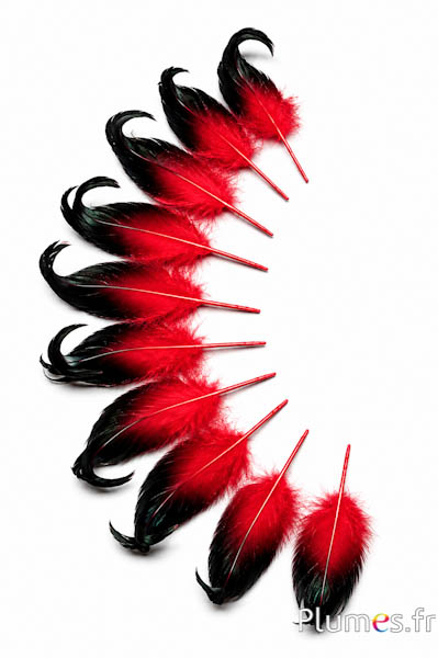Anatra - 6-9 cm - rosso-nero